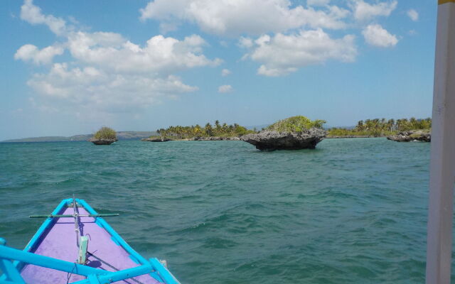 Sea Turtle House