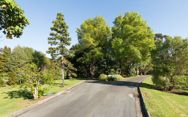 Sanctuary in the Cove