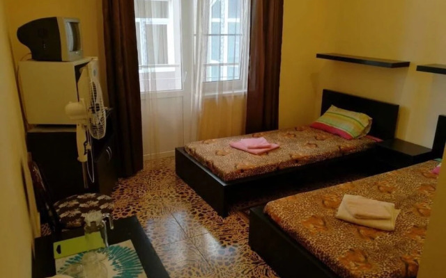 Rodnichok Guest House