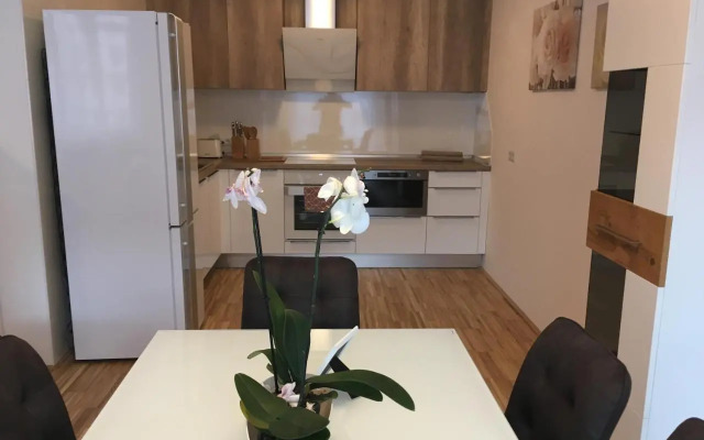 New Stylish Apartment