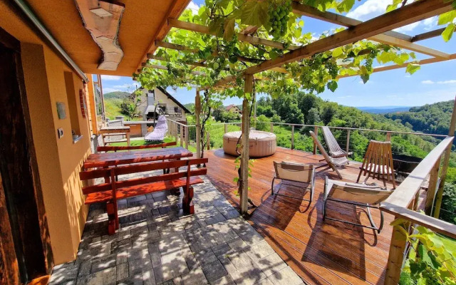 Vineyard cottage Soncni gric