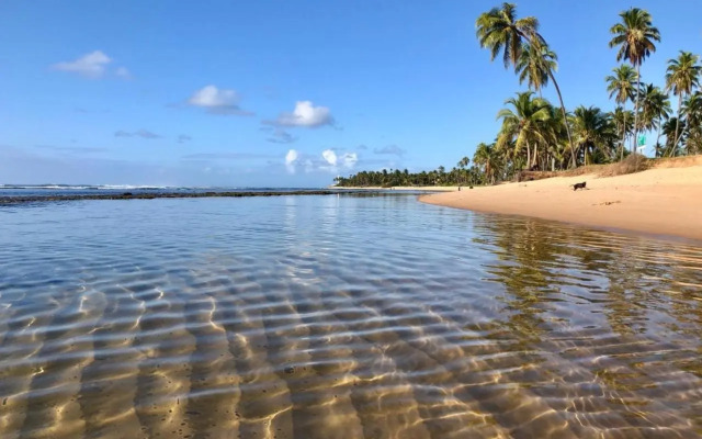Praia do Forte Apartamento Fantástico