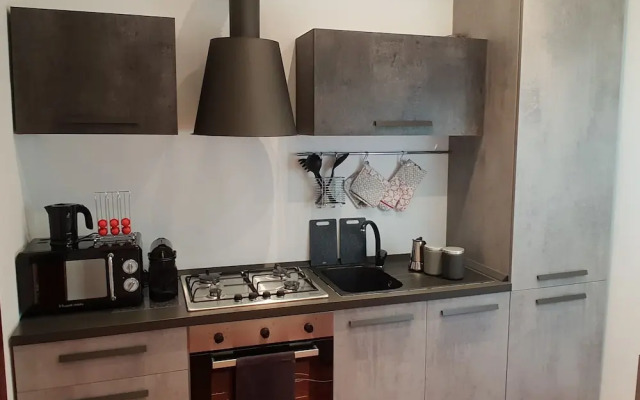 Deluxe Central Apartment
