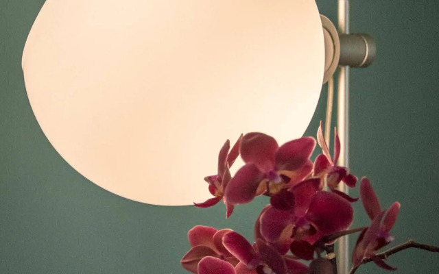 Leone Luxury Villas