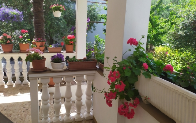 Room Aleksandra - 10 m from sea: R7 Bibinje, Zadar riviera