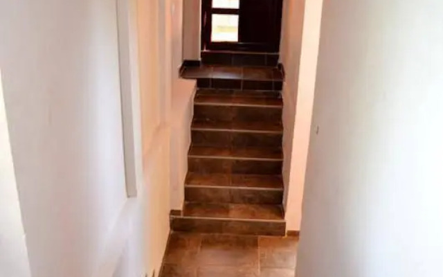 Guest House Taz