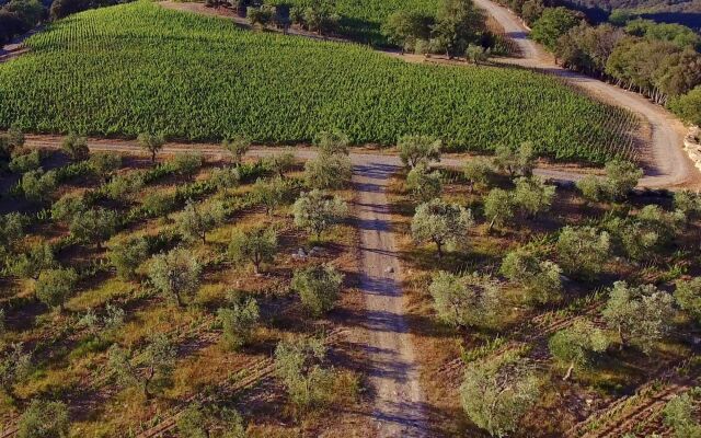 Castello Di Vicarello