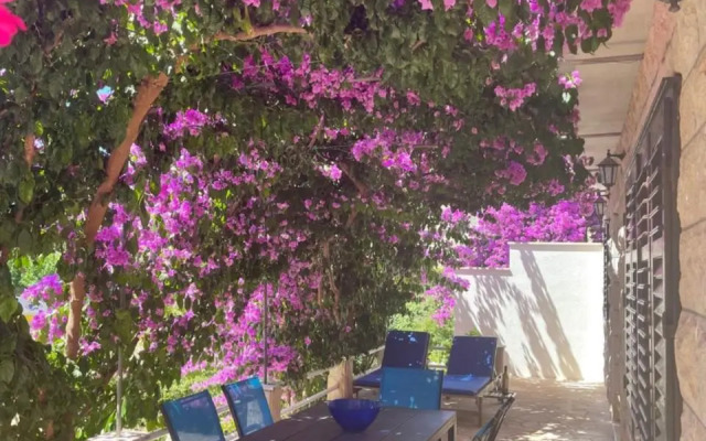 Vacation house Benedetto
