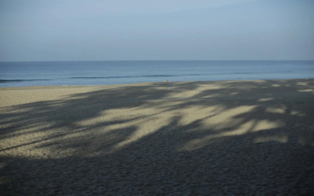 Sandy Feet