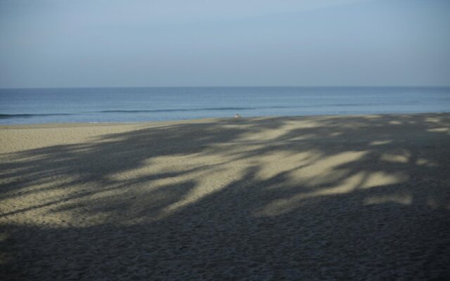 Sandy Feet Beach Garden