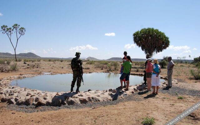 Elephant Bedroom Camp - Samburu