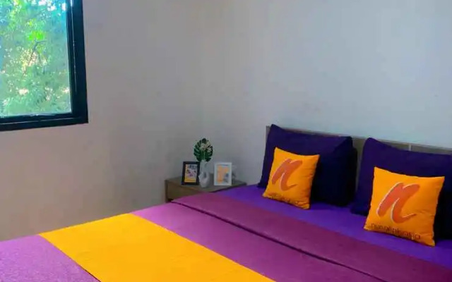 Nusalink Near Universitas Pakuan