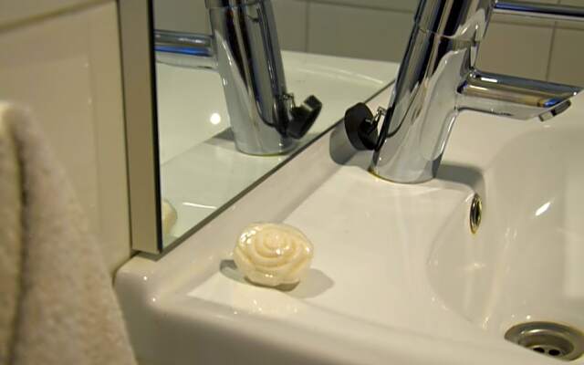 Vakantiewoning De Berkeboom