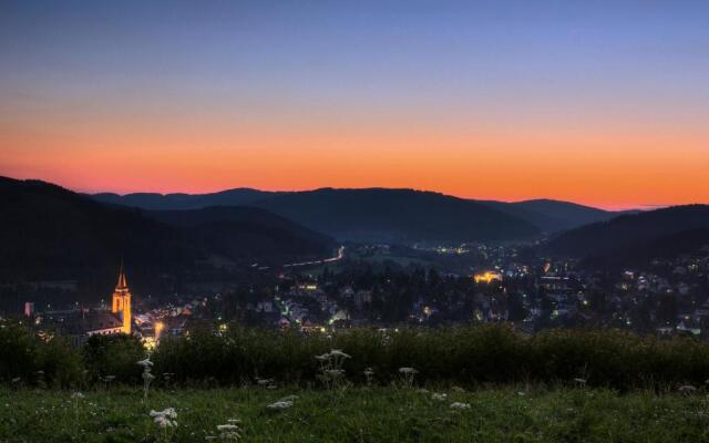 Drei Tannen - Wohnung 09 - Apartmenthaus, Titisee, Feldberg