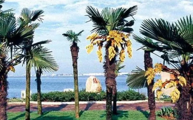 Wuxi Lakeview Park Resort