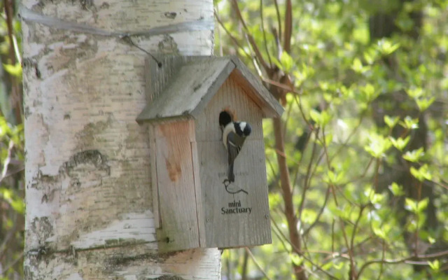 Madarao Elm Pension / Vacation Stay 19195
