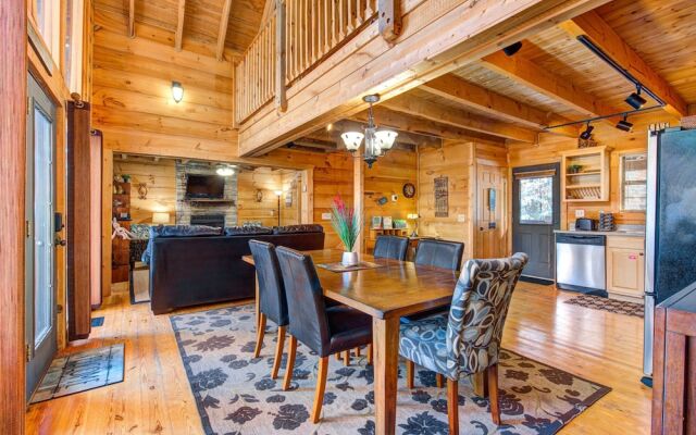 Bear Pause by Vtrips