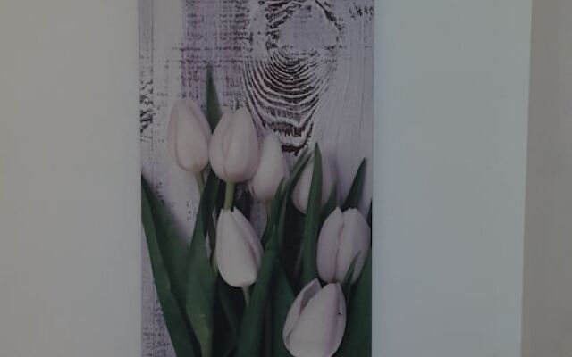 Apartment Nido Stazione II