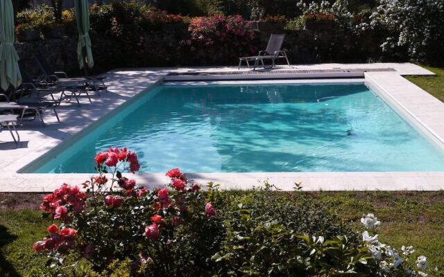 Le Chant des Oiseaux