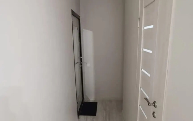 In an apartment on Zarechnaya Street