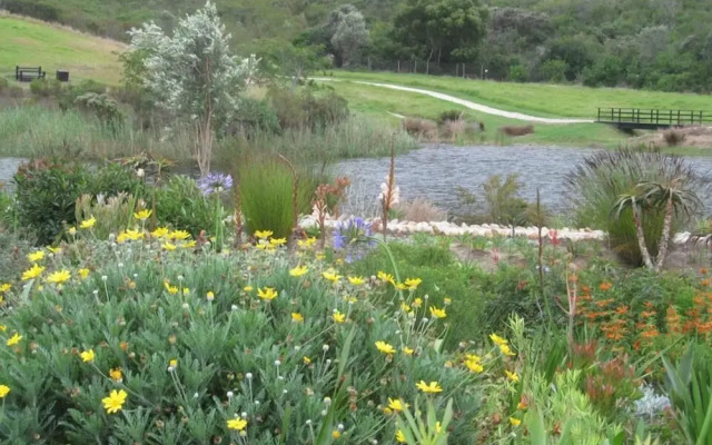 Bitou River Lodge