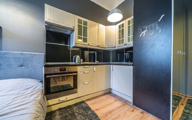 Апартаменты Loft Petrograd 2