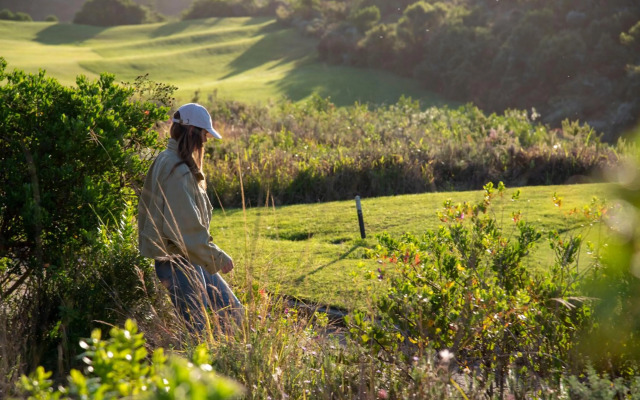 Pezula Magic Retreat - 4 Bedroom Lagoon View Home