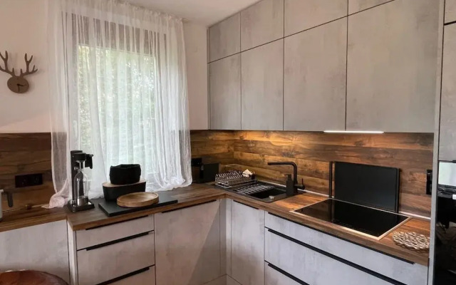 Apartment With Carinthian Mountain View
