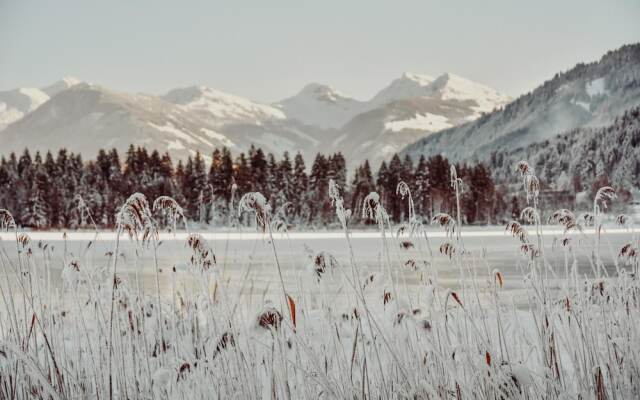 Alpenhotel Kitzbühel