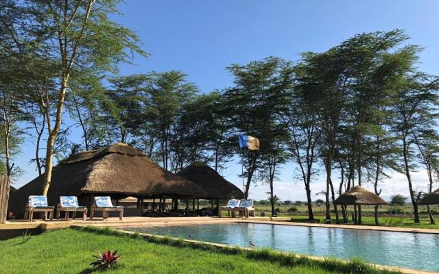 Africa Safari Lake Manyara