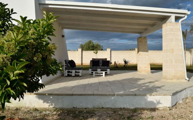 3807 VM - Mono Terra by Barbarhouse