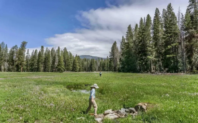 Holiday Inn Express & Suites Oakhurst - Yosemite Park Area by IHG