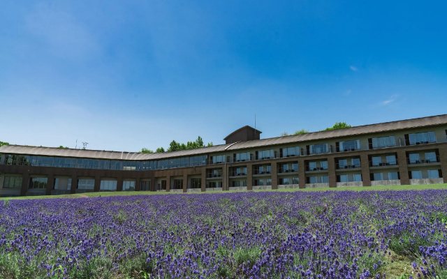 Furano Hotel — 5-star hotel in Furano
