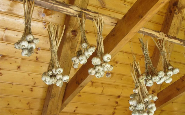 House Dolenja Trebuša
