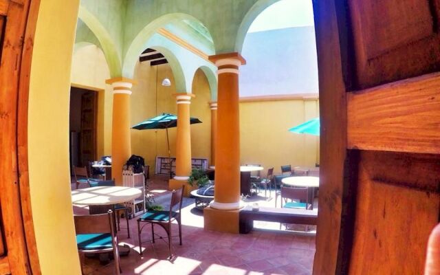 Snail Bed and Breakfast - Hostel - Adults only