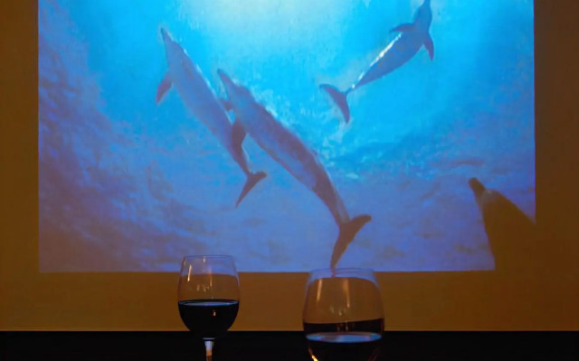 IzuKogen Petit Resort Hotel Alcyon