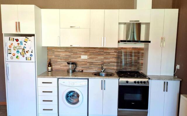 Cozy Flat in Bakuriani