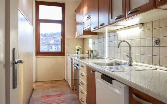 Cozy, Spacious & Sunny in Heart of City Center