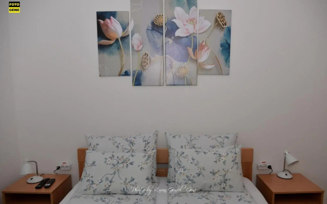 Apartment No 11