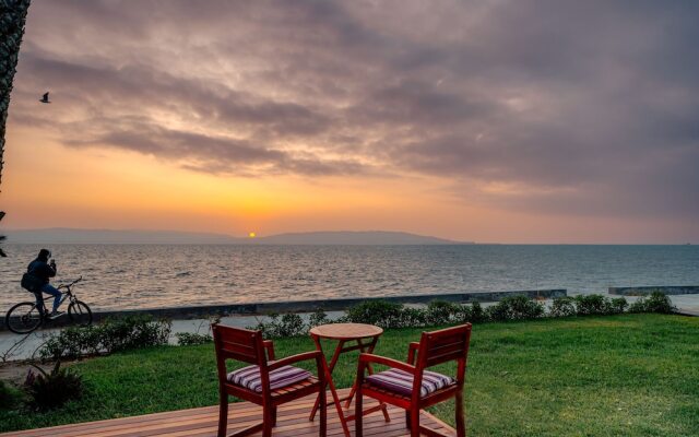 Atoq Paracas Reserva