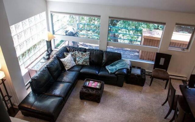 Pitkin Creek Condominiums