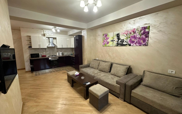 Comfortable apartment in center