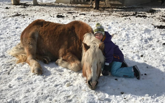 Pony-Ziegen-Hasen-Ranch Bichlbach