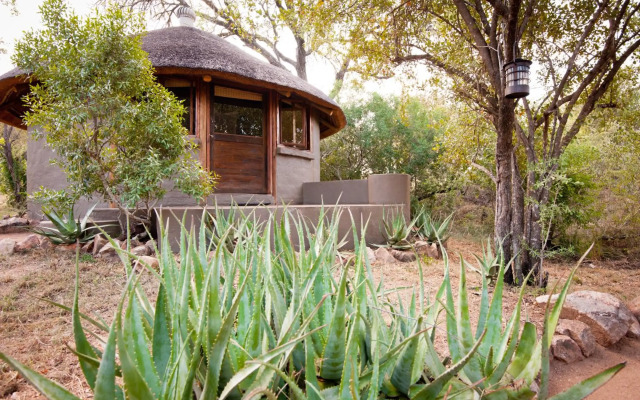 Umlani Bushcamp - Lodge