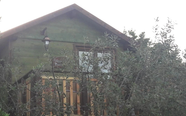 Palazzo Conforti Tree House Resort