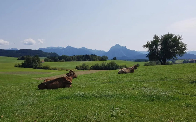 Ferienwohnung Linder