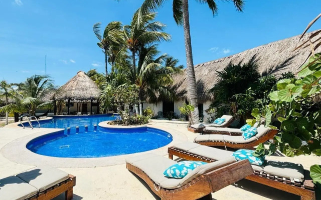 Mayan Mittoz