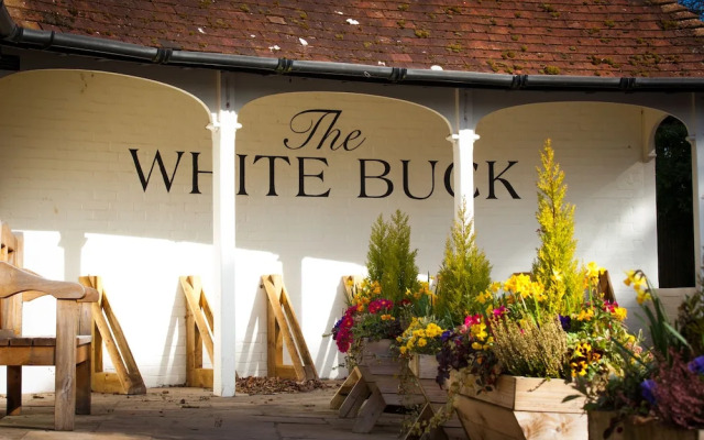 The White Buck