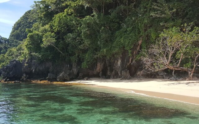The Alternative Beach Cottages