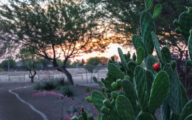 Bluegreen Cibola Vista Resort and Spa, an Ascend Resort